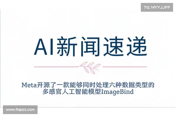 Meta 暂停基于欧盟数据的人工智能训练 媒体 Meta 暂停基于欧盟数据的人工智能训练 媒体